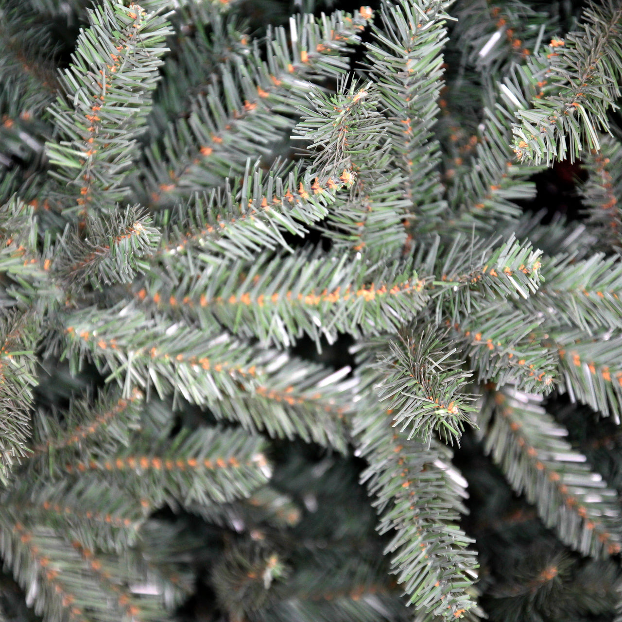 10ft Glenbrook Fir Blue Tree #114-GRB-100